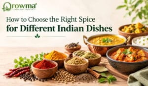 How to Choose the Right Spice for Different Indian Dishes